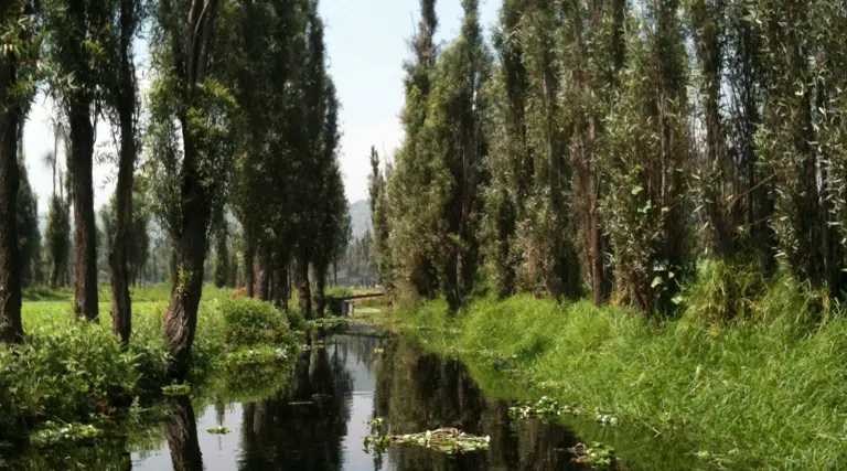 Foto de la ciudad